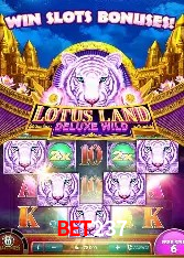 Estatísticas bet237